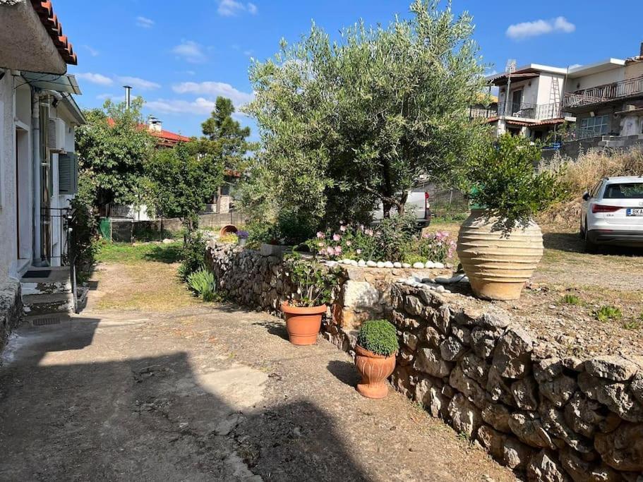 Guesthouse Simou With View 3 Bedrooms Αράχωβα Εξωτερικό φωτογραφία